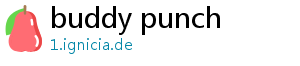 buddy punch